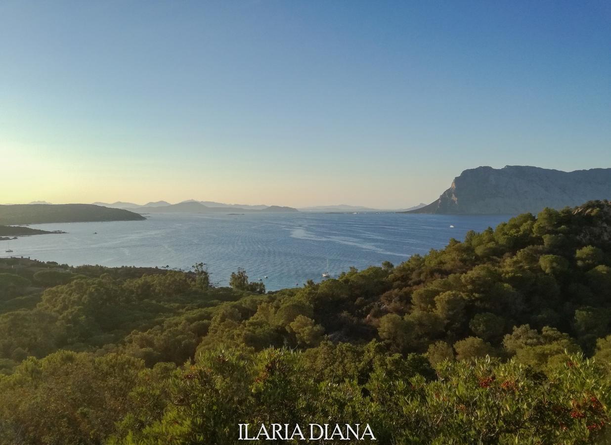 Residence Edilmare San Teodoro Kültér fotó